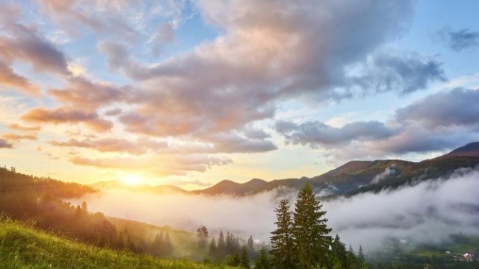 From Chaos to Clarity: Mastering Strategic Vision in Small Business Leadership